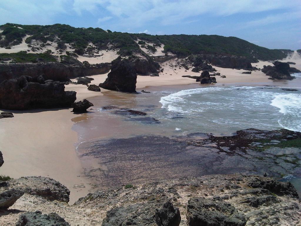 Jikeleza Lodge Port Elizabeth Eksteriør billede