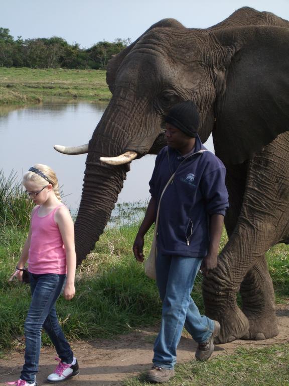 Jikeleza Lodge Port Elizabeth Eksteriør billede