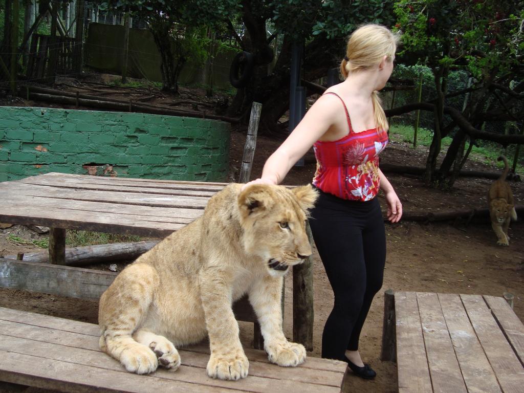 Jikeleza Lodge Port Elizabeth Eksteriør billede